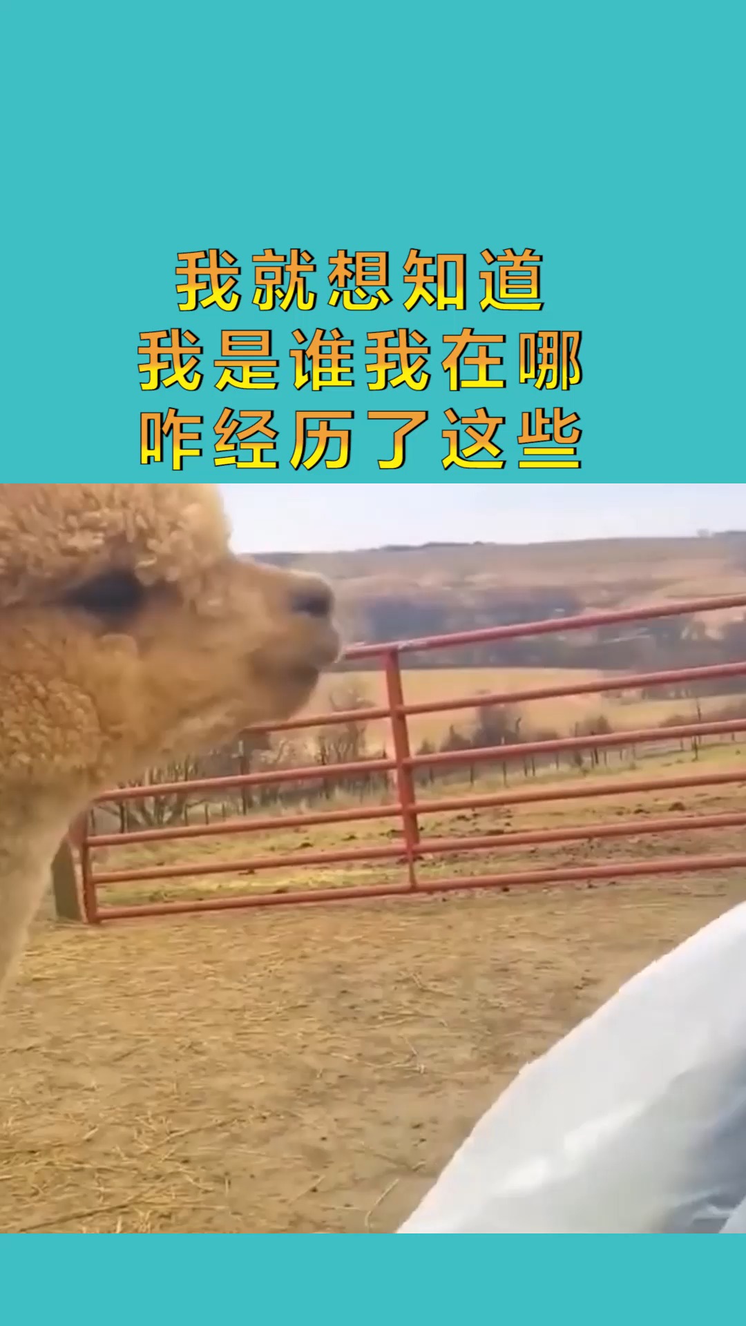 搞笑配音#我就想知道 我是谁我在哪 咋经历了这些