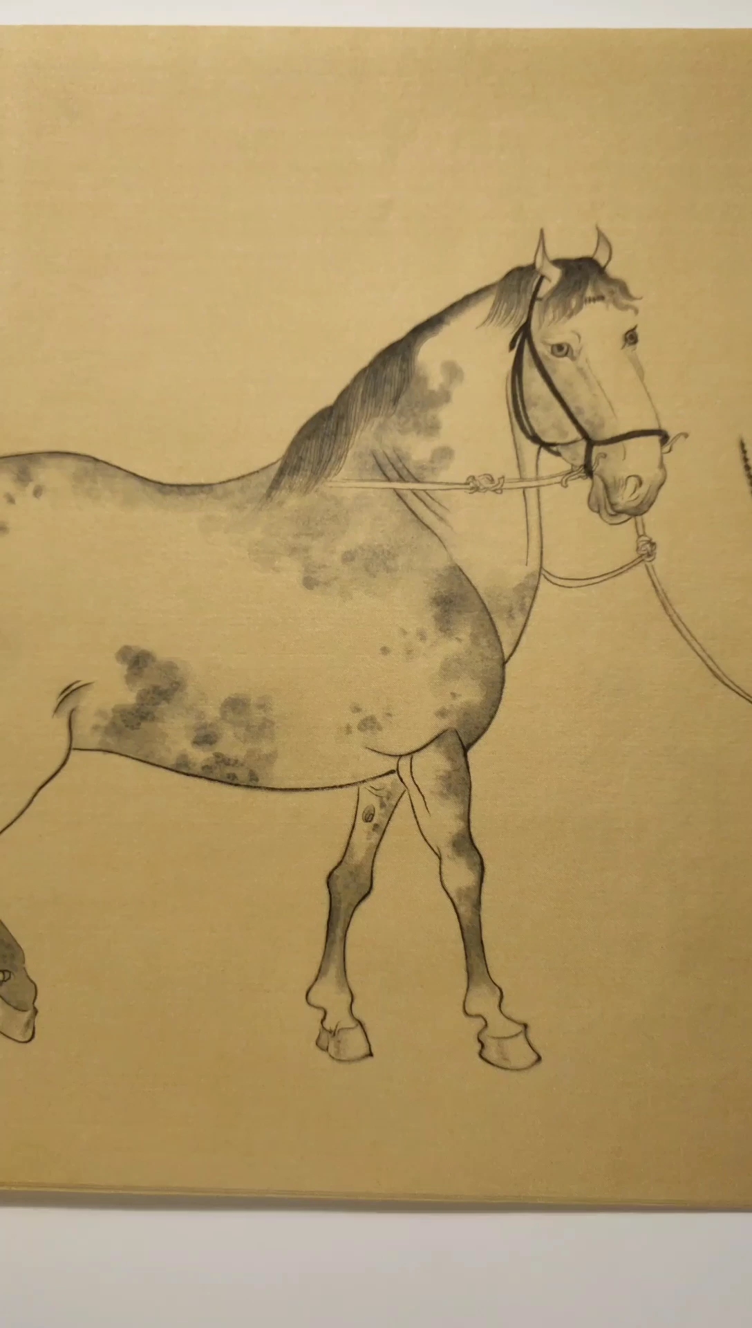 天德轩主人田鹏绘画作品