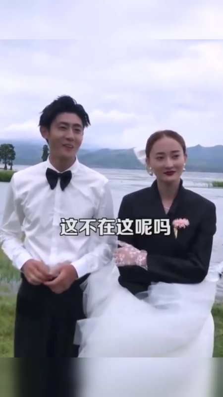 苗苗想交男朋友,史蒂文:我不就在这儿