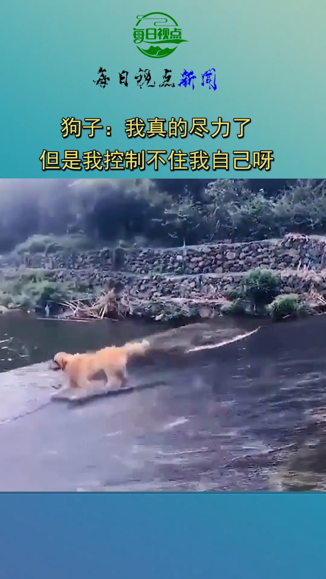 奇怪的知识又增加了#狗子:我真的尽力了,但是我控制不住我自己