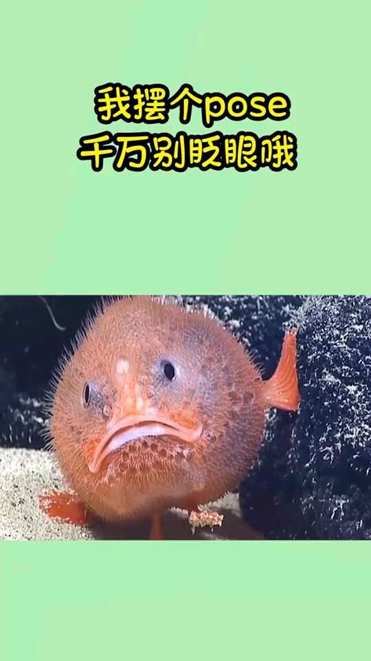 我摆个pose,千万别眨眼哦