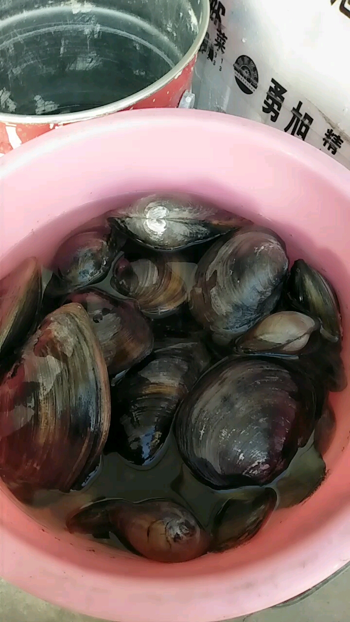 好漂亮的大田蚌