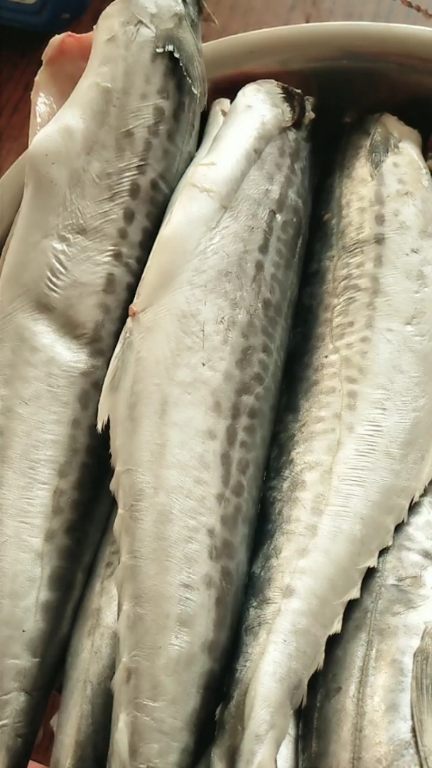 新鲜的大鲅鱼