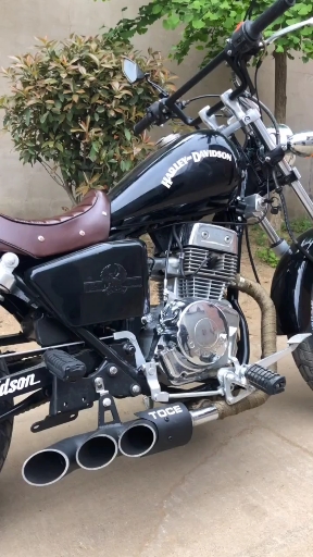 大地鹰王250改装复古