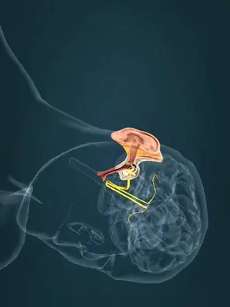 内耳半规管的工作原理有人喜欢看此系列科普吗人体科学人体冷知识人体