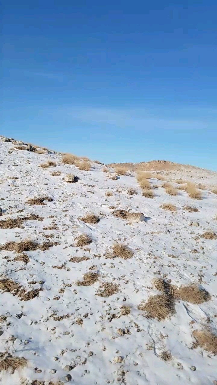 全民小助手 内蒙小土山刚下完雪,有点冷
