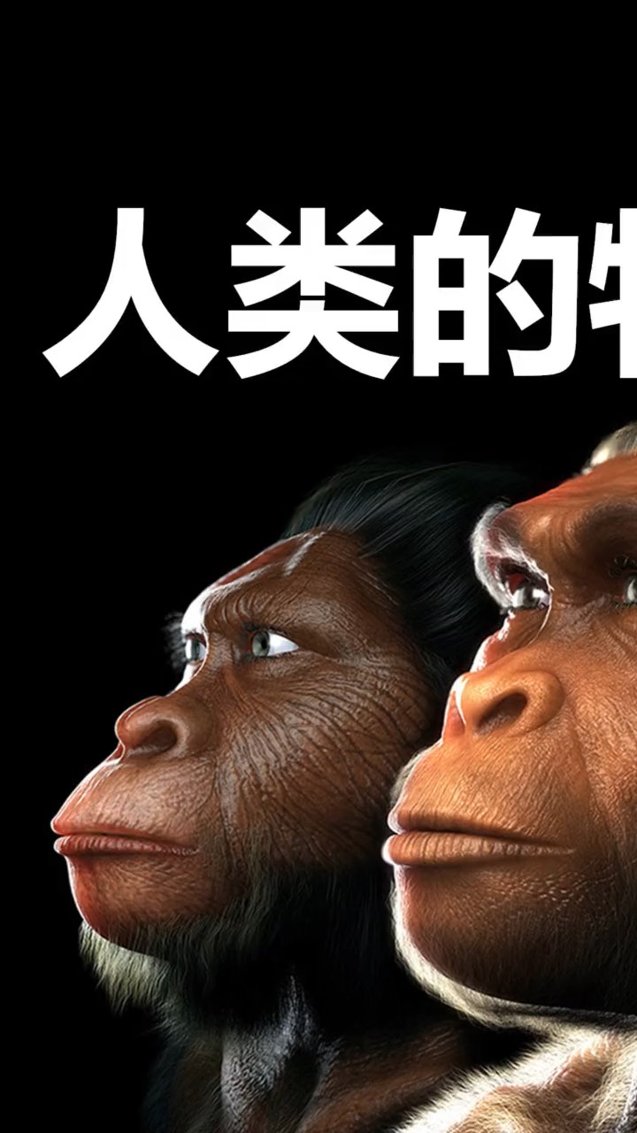 探秘#作为最聪明的物种,人类究竟有什么特别之处