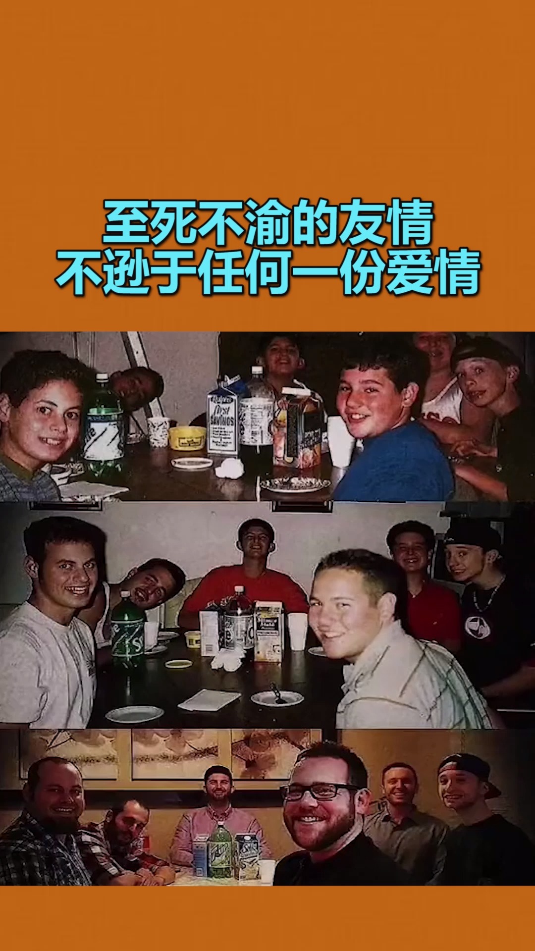 至死不懈的意思(至死不懈的意思和解释)
