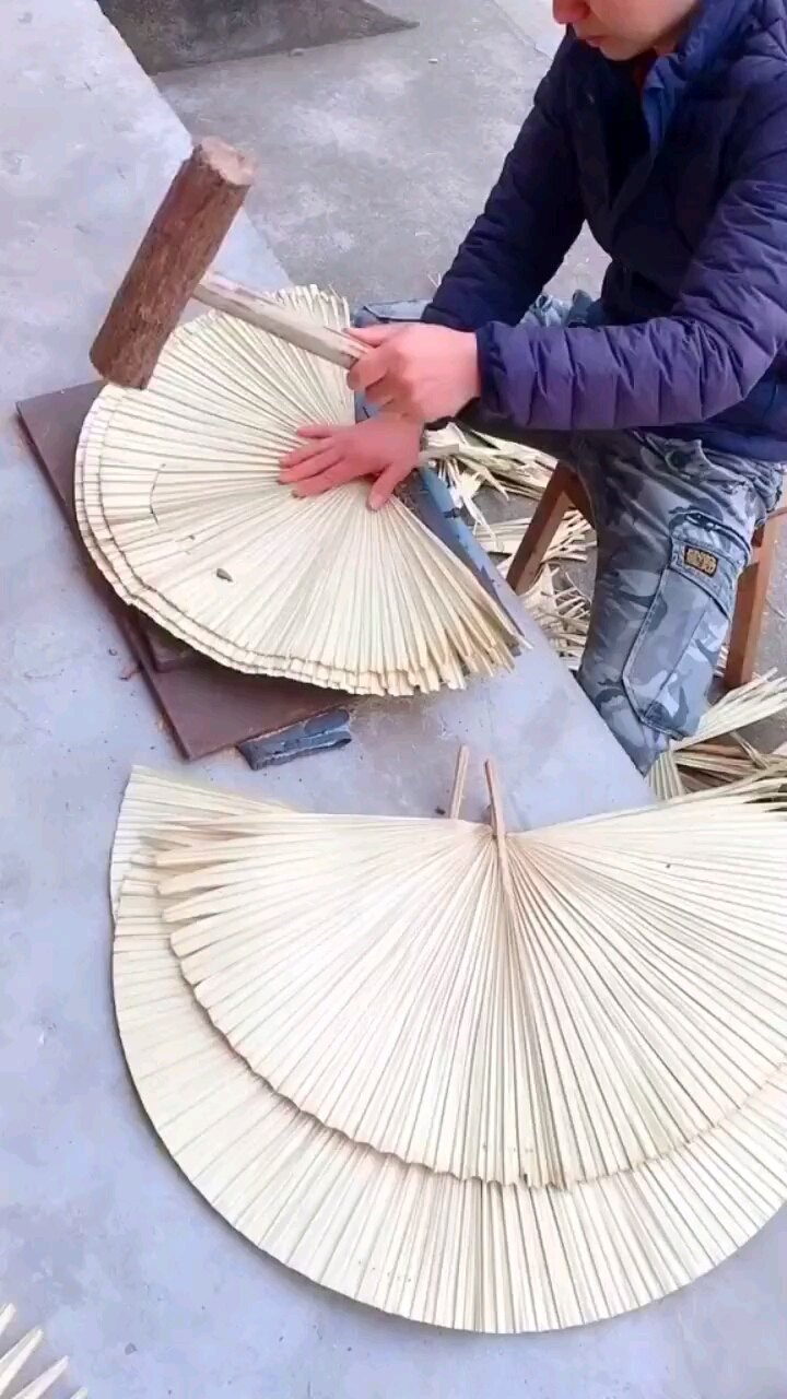 制作蒲扇是这样的