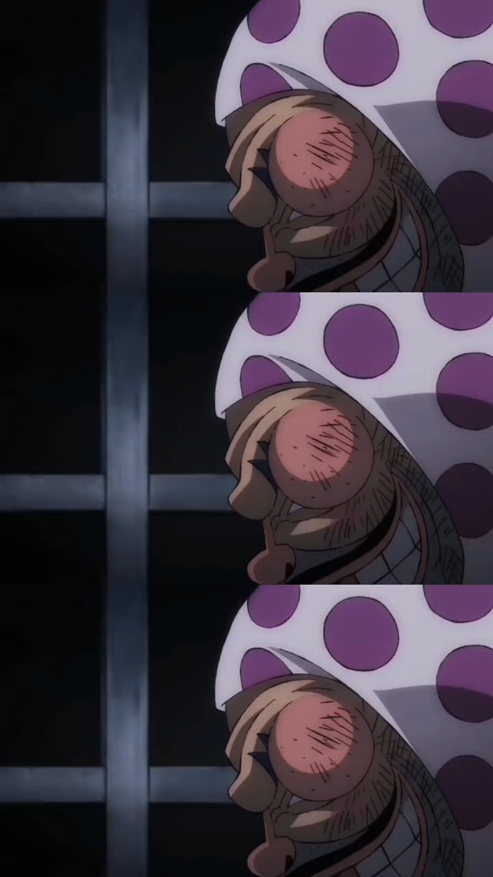 海贼王#看来花都今天也是个好天气啊