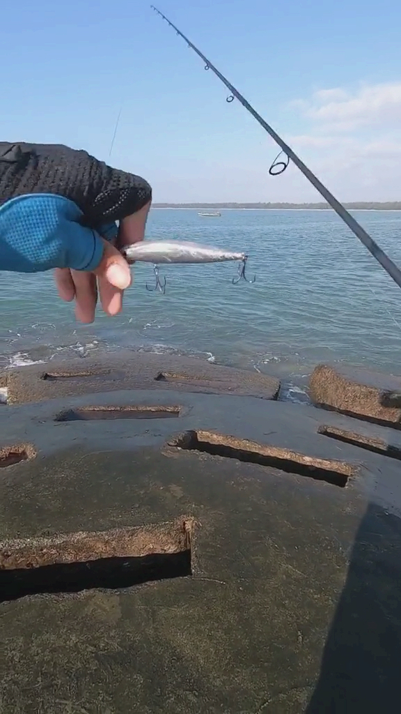 路亚#挑战海狼鱼