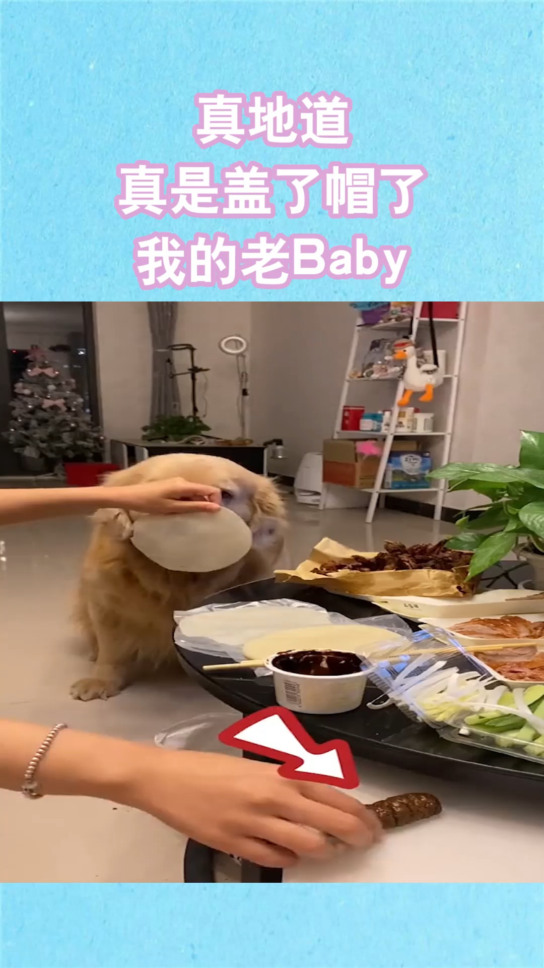 我要上热门#真地道,真是盖了帽了我的老baby