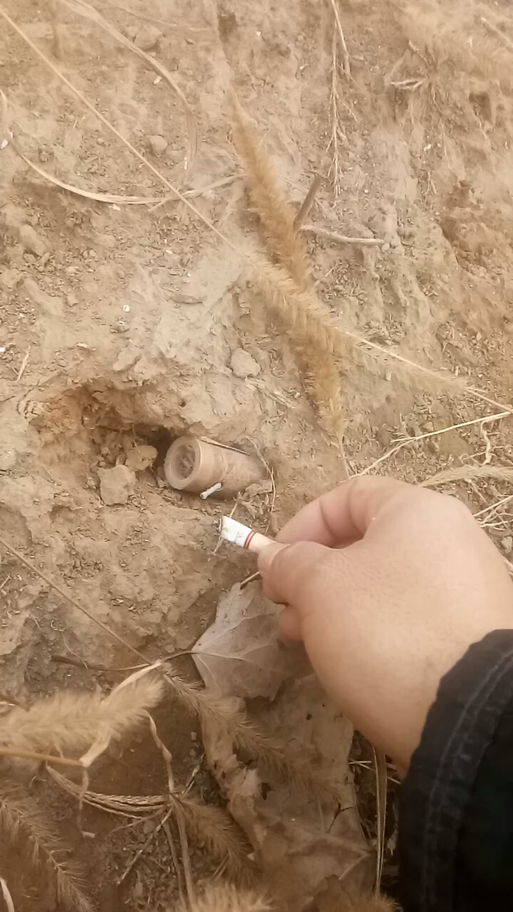 每天一点冷知识#用二踢脚炸土坡老鼠打的洞,瞬间炸塌了.