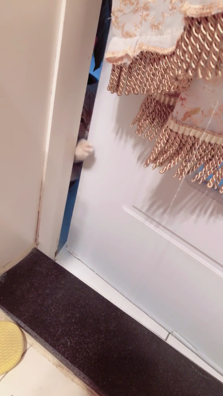 扒门缝的小可爱