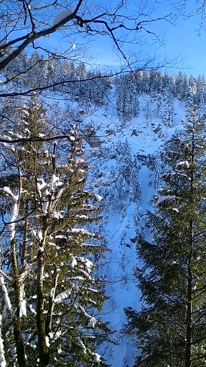 德国黑森林雪景.