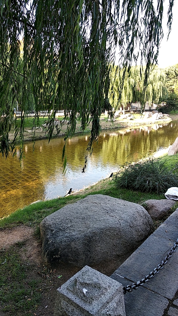 青岛海泊河公园