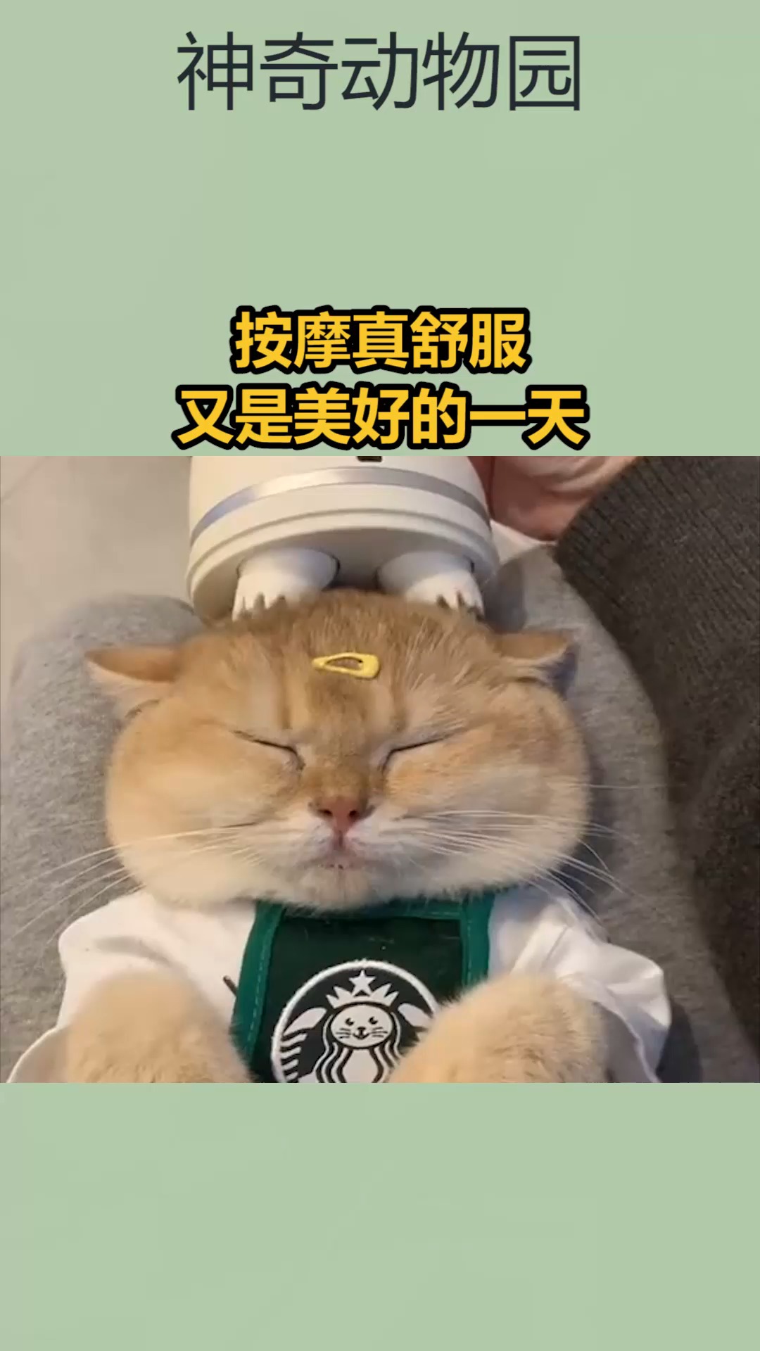 我要上热门#按摩真舒服呢,又是美好的一天呢