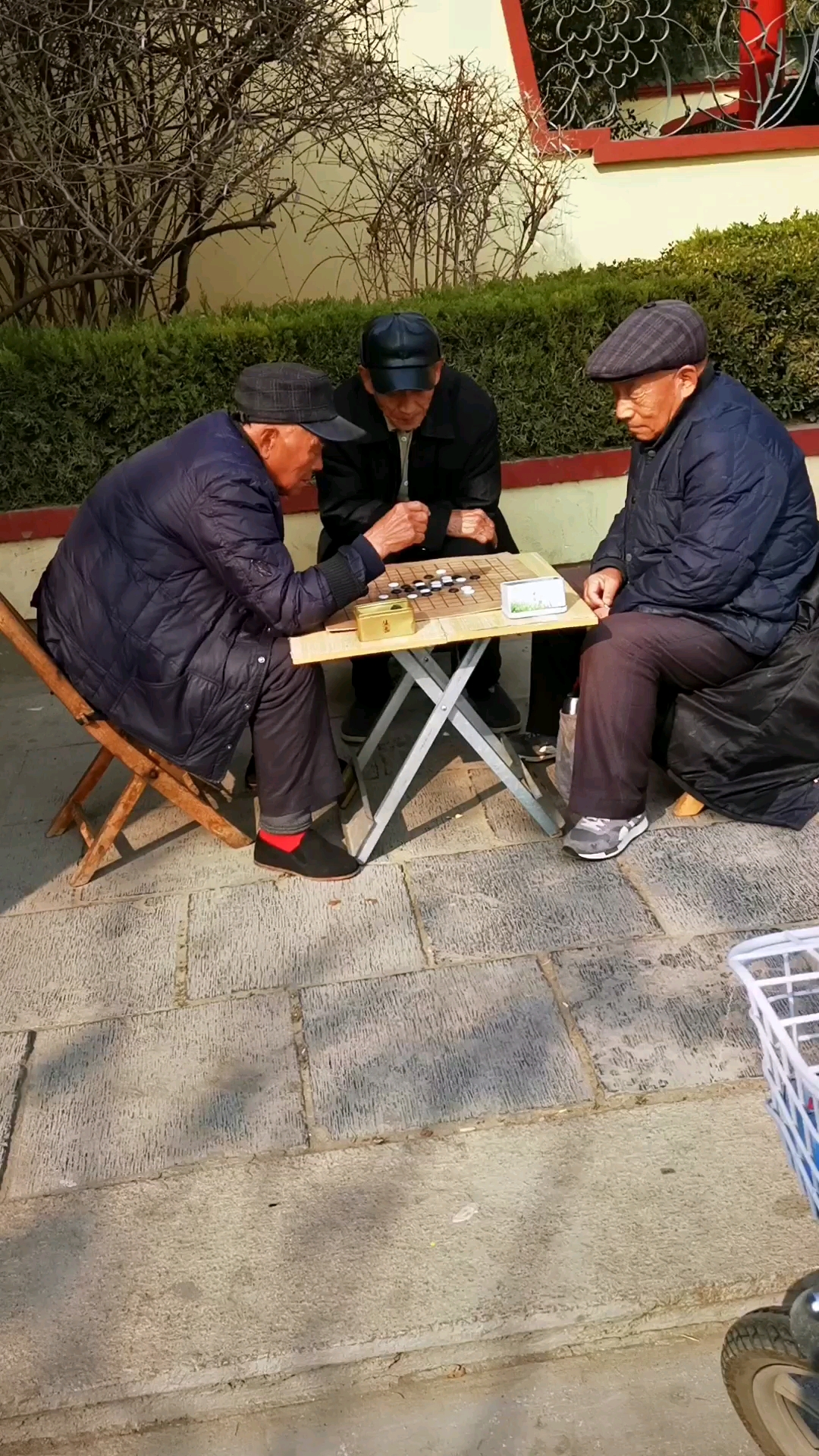 老人们悠闲地下棋,享受午后的阳光