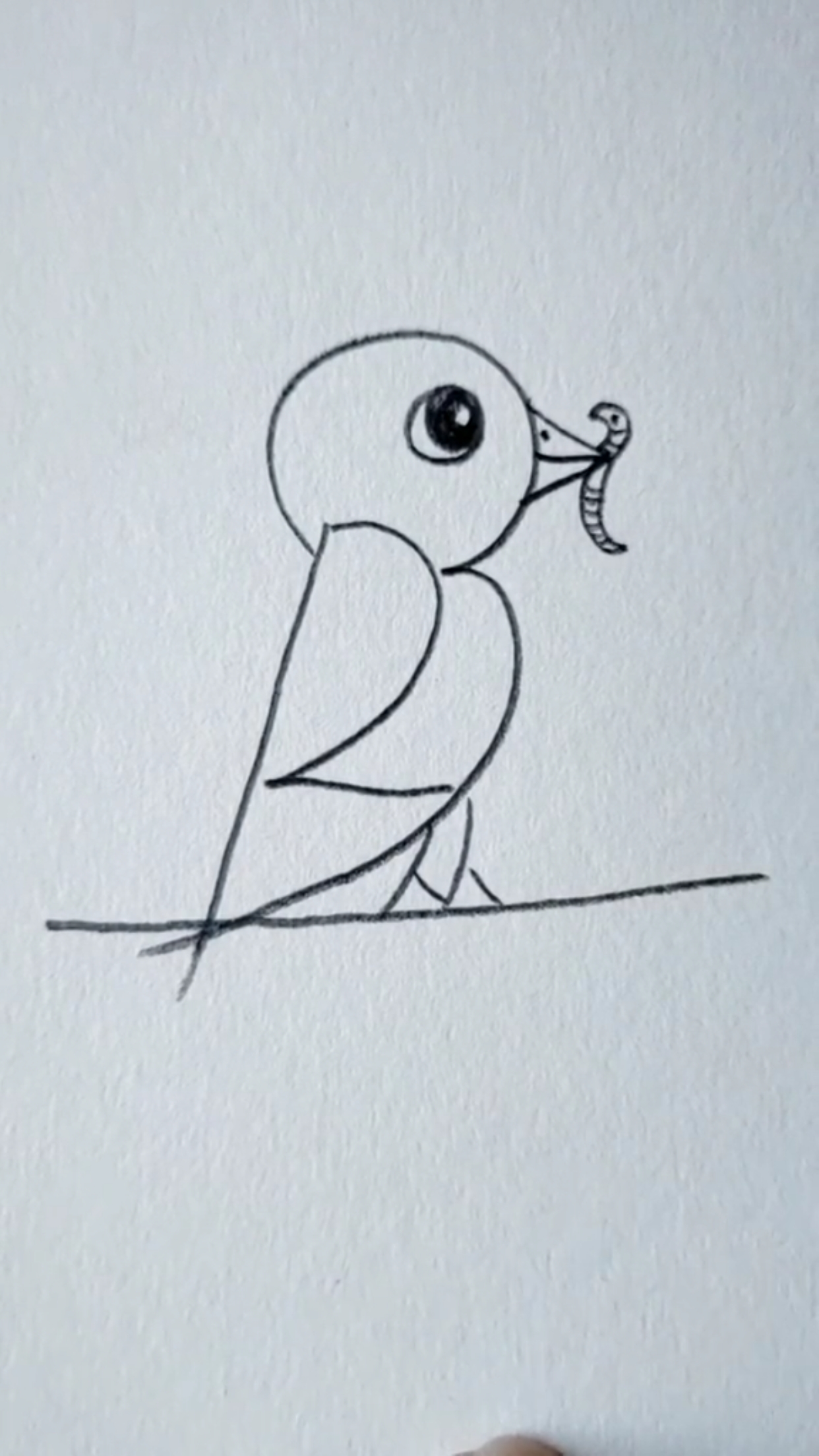 创意简笔画#正在吃饭的小鸟真漂亮
