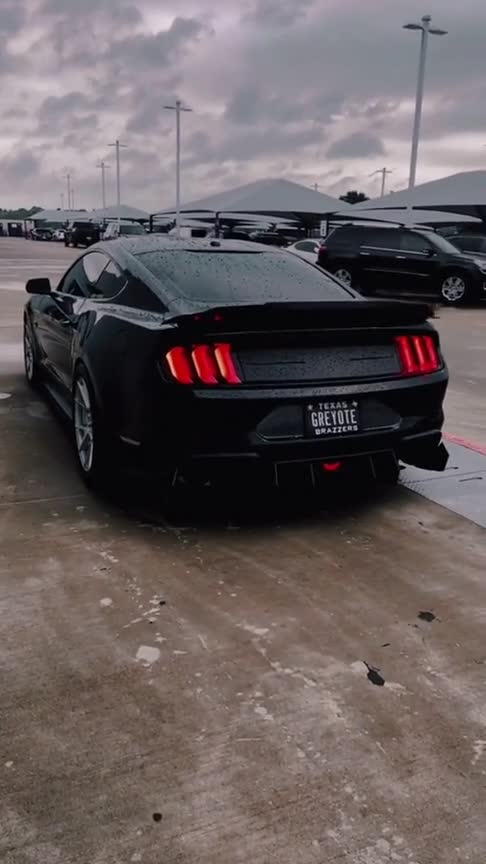 黑武士野马,声音一响,绝了!