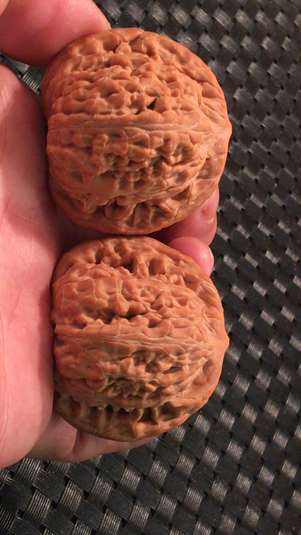 文玩核桃#精品望月狮子头属于野生小众,把玩上色非常漂亮