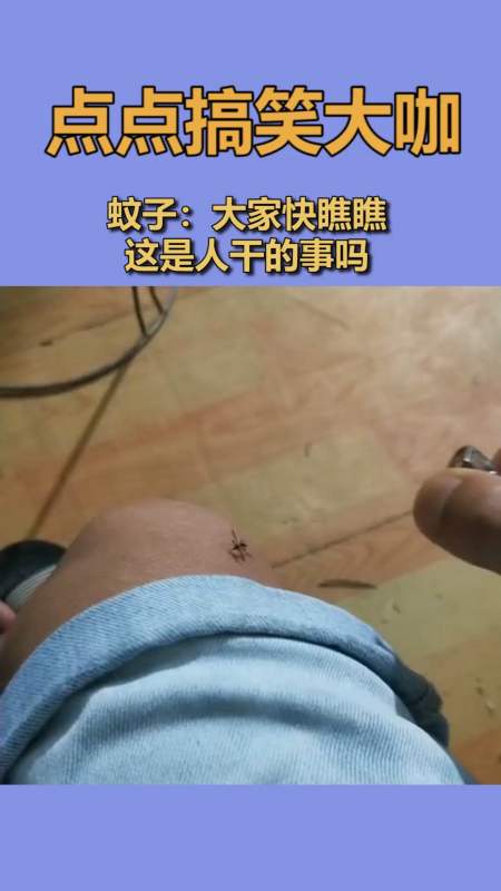 我要上热门#蚊子:大家快瞧瞧,这是人干的事吗