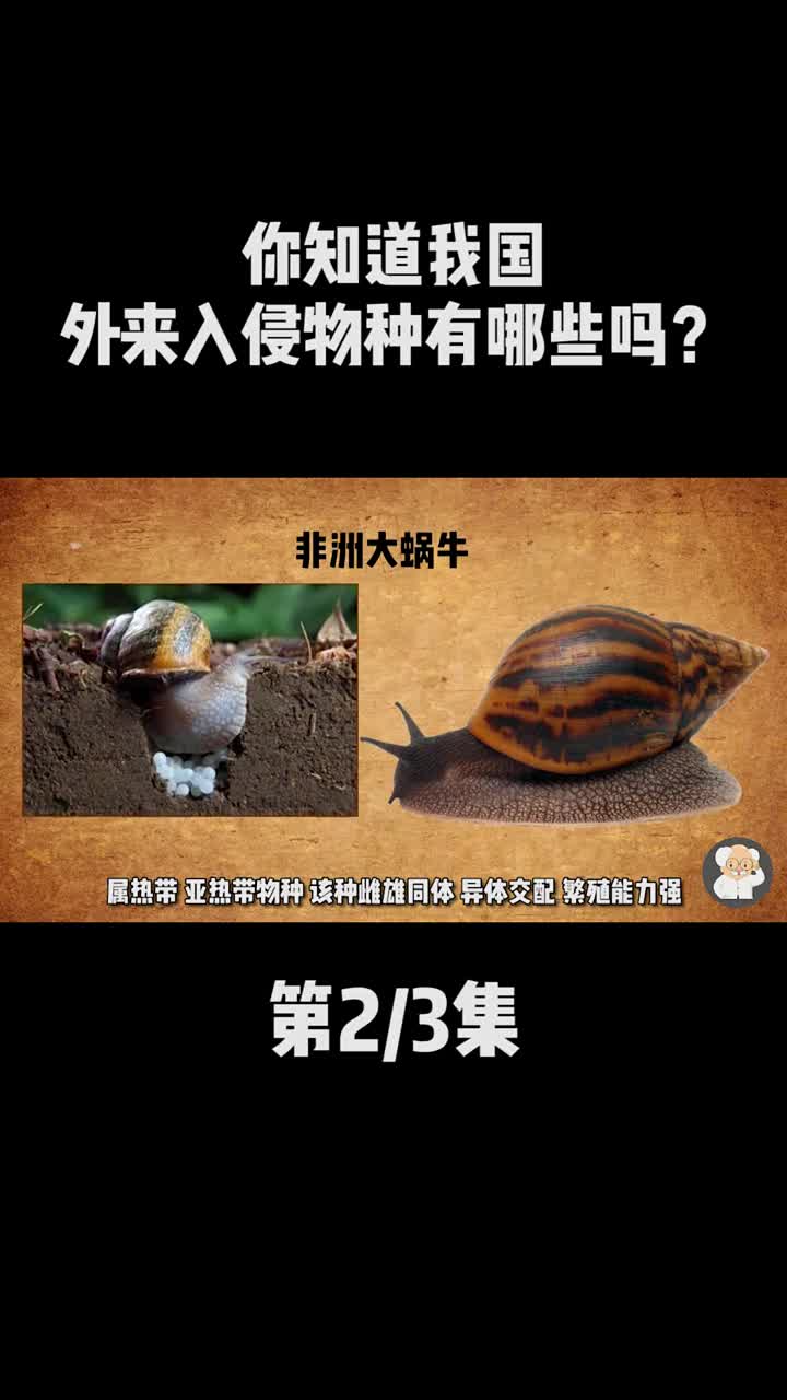 中国已发现660多种外来入侵物种,71种被列入《中国外来入侵物种名单》