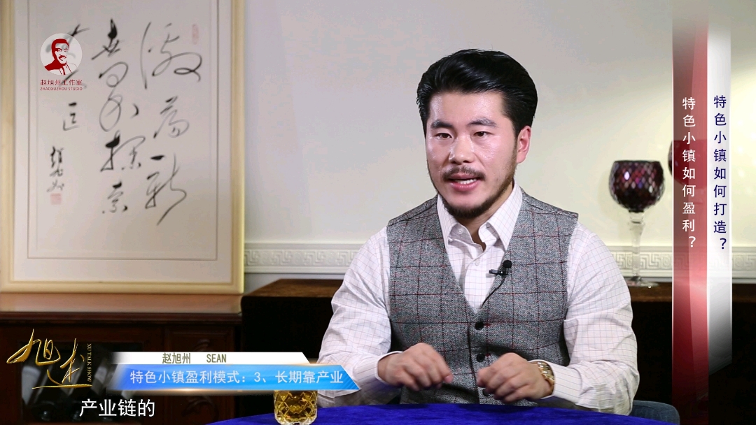 特色小镇的盈利模式是什么?大师赵旭州:挣钱这事儿不能急于朝夕