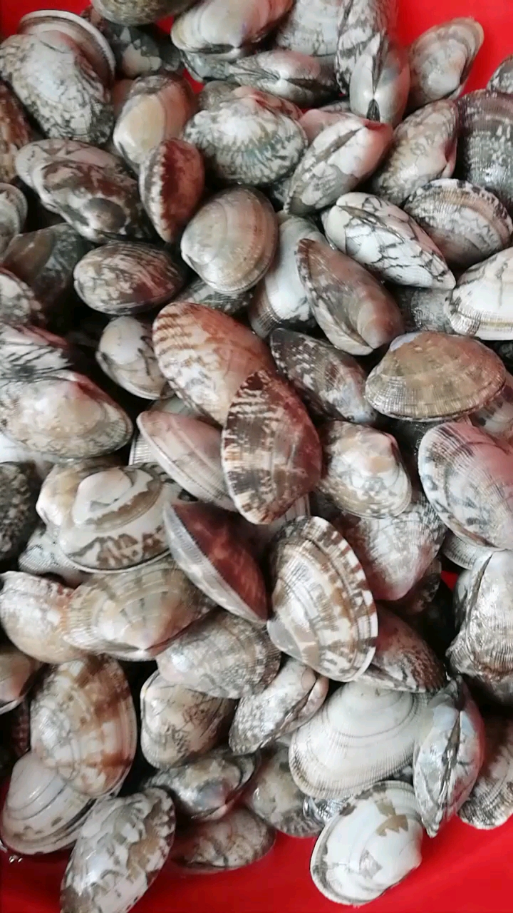 青岛特产吃哈喇哈啤酒