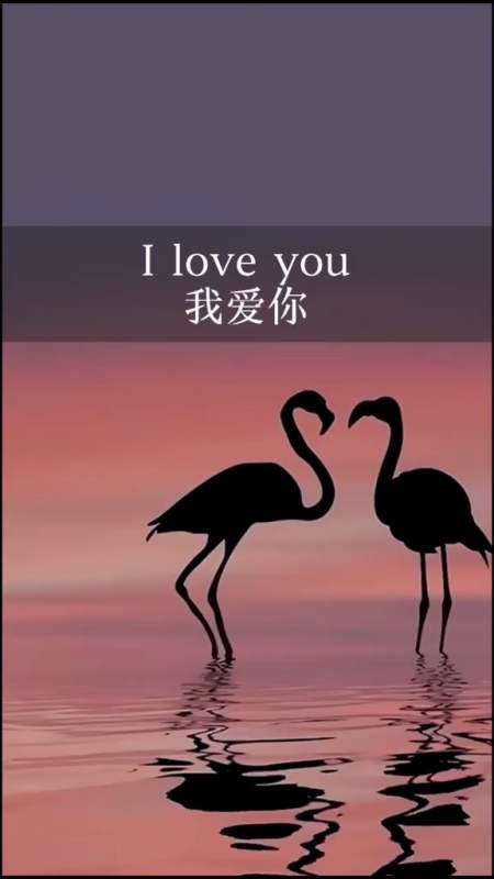 每日英语# 我爱你,不是因为你是一个怎样的人,而是我喜欢和你在一起