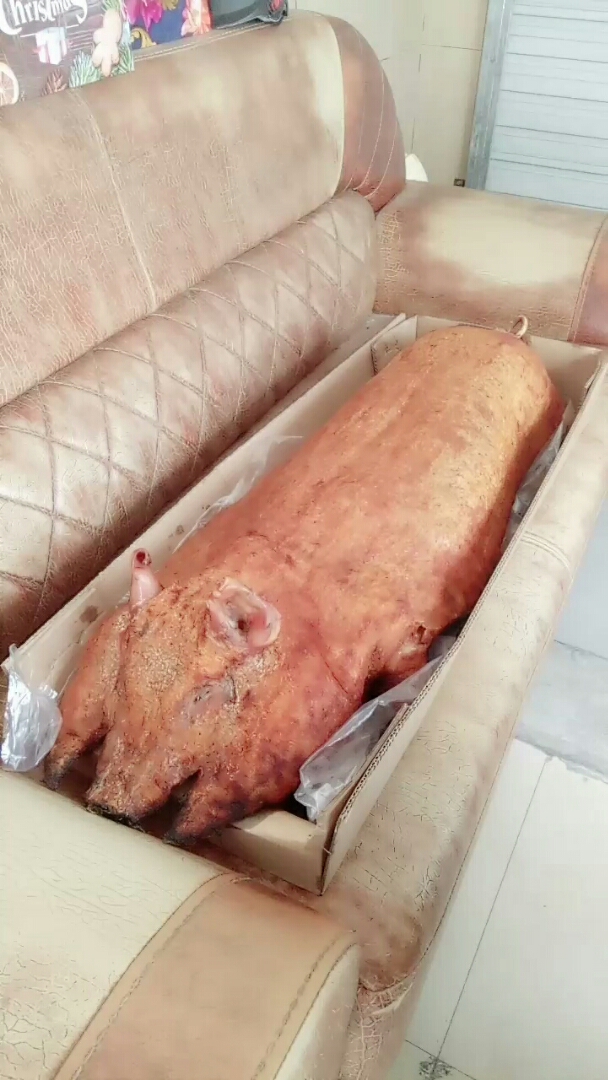 这么大的烧猪只能看吃不到可惜了