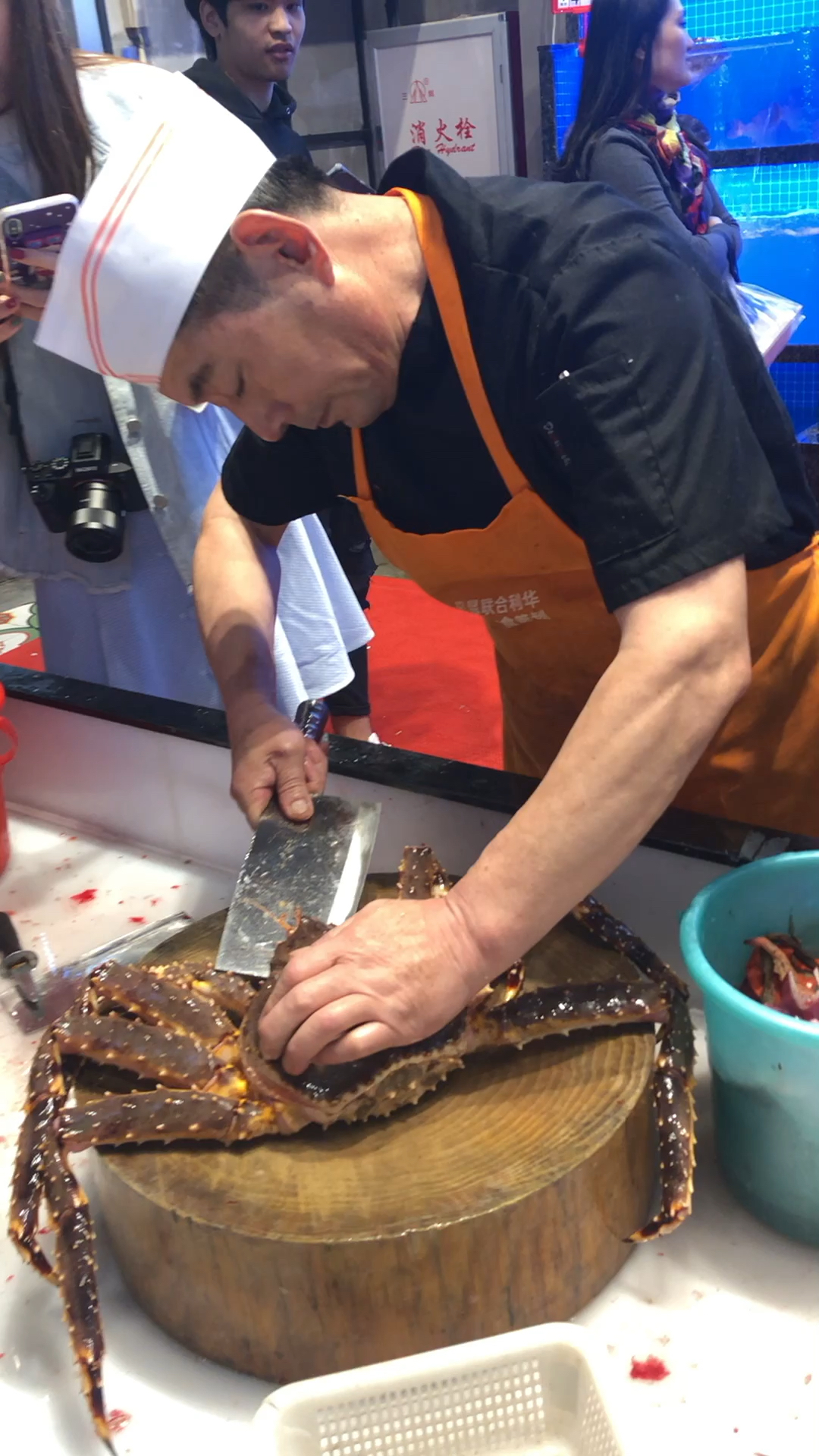 感恩有你#石斑鱼现杀,镇邦路的鑫坞堂改成水产超市,现捞现杀,明码
