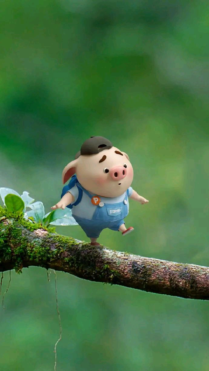 我要上热门#萌萌猪