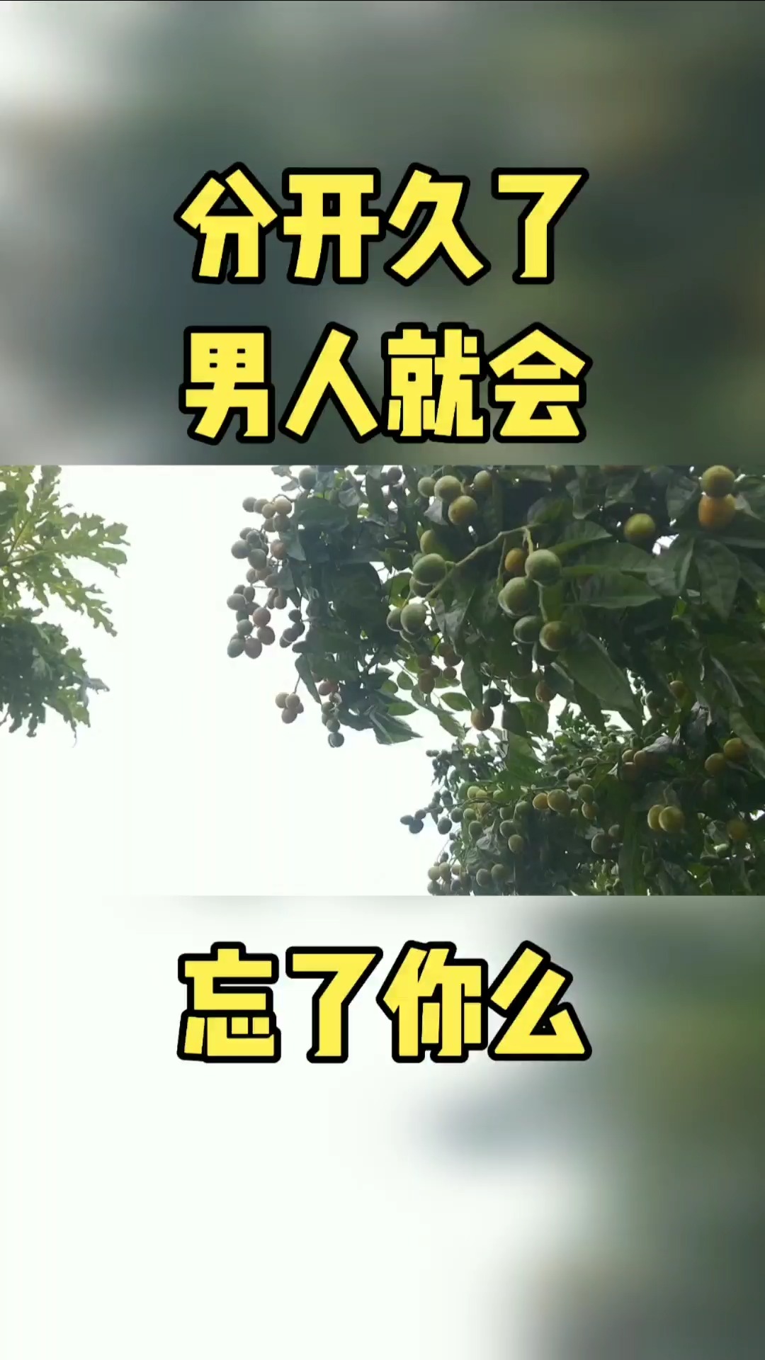 分开久了,男人就会将你忘得一干二净么-度小视