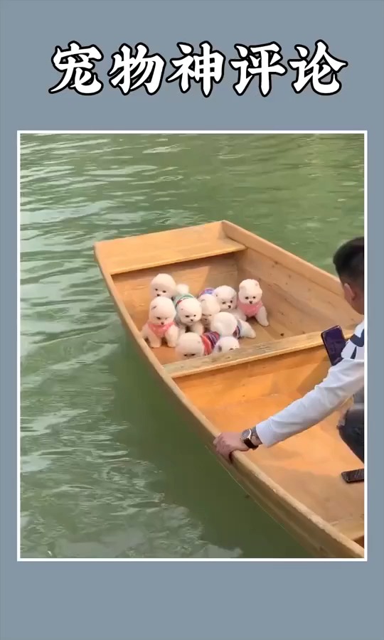 搞笑视频#船翻了就是另一个故事了