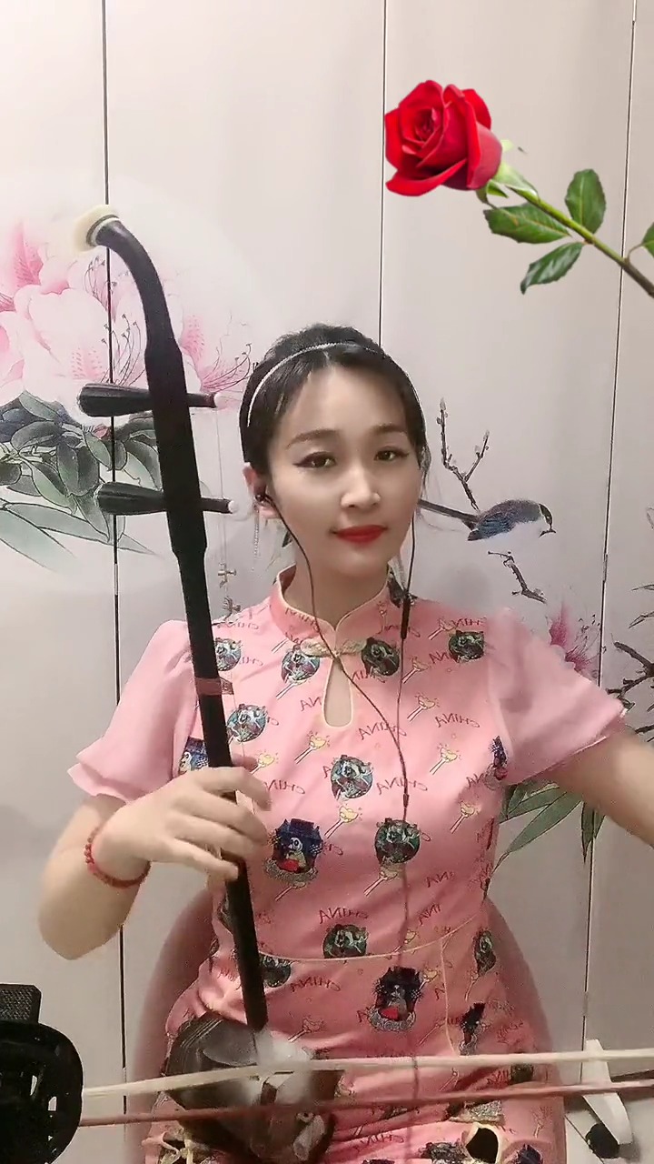 迷惑行为大赏美女二胡深情独奏情深似海琴音柔美细腻委婉动听醉人心弦