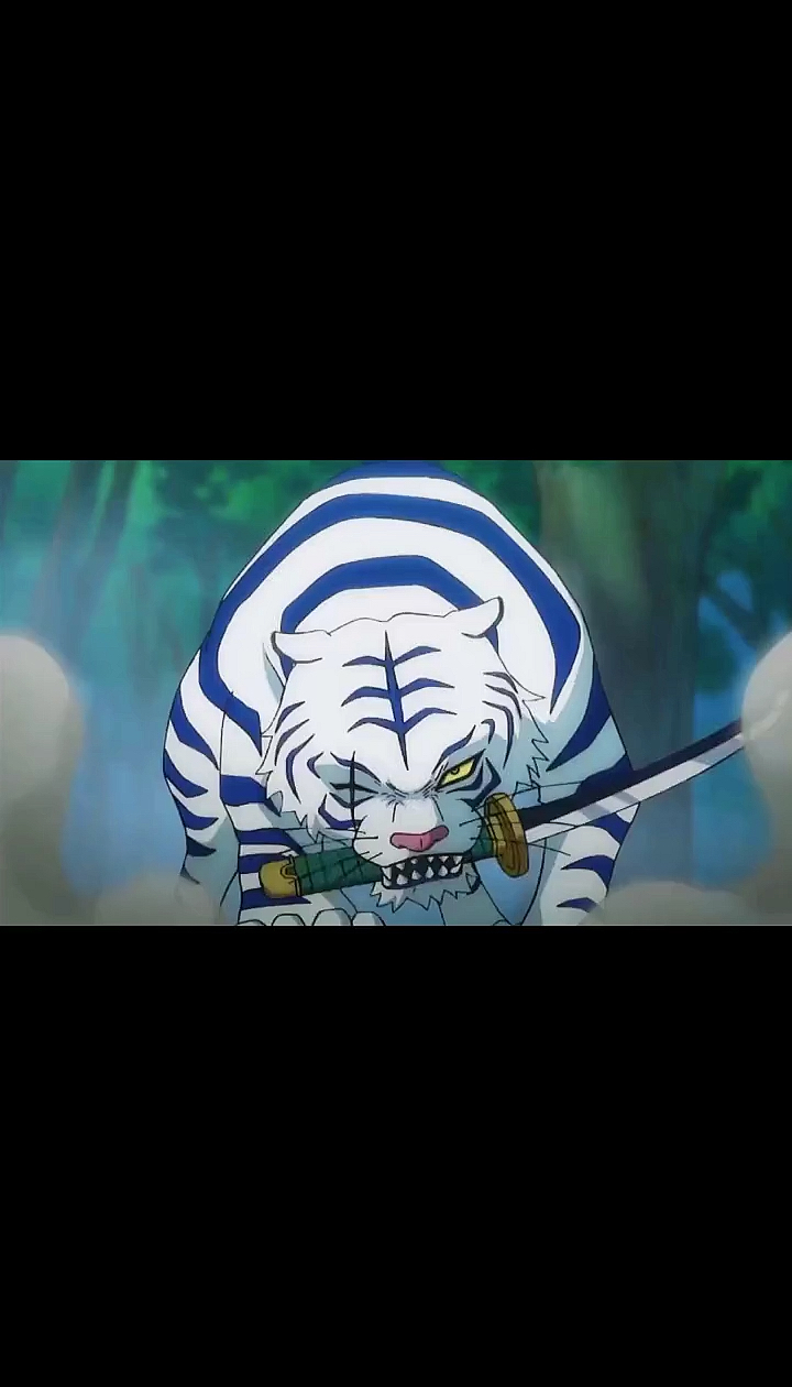 老虎偷学索隆技能