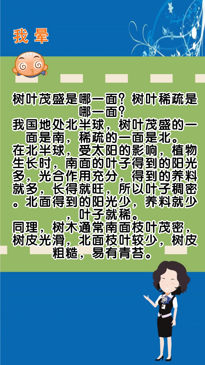 树叶茂盛是哪一面?树叶稀疏是哪一面?