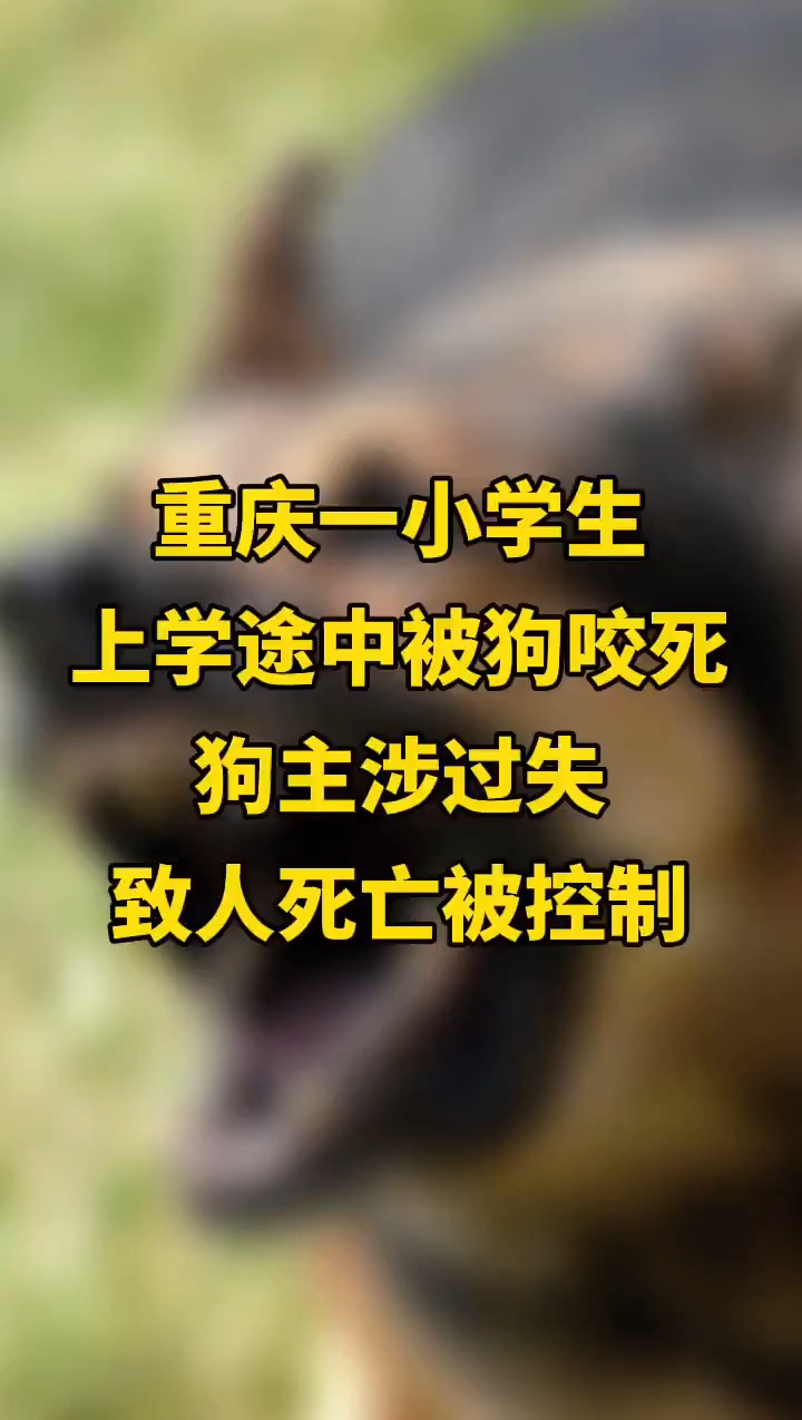 重庆一小学生上学途中被狗咬死,狗主涉过失致人死亡被控制