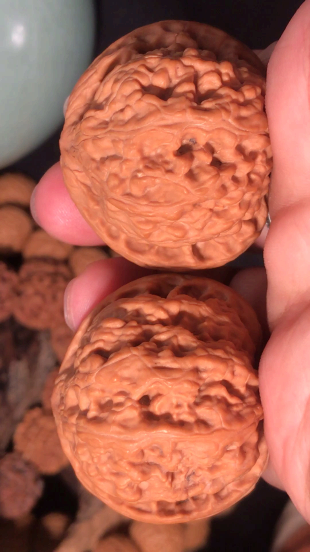 文玩核桃#稀有野生龙脊元宝