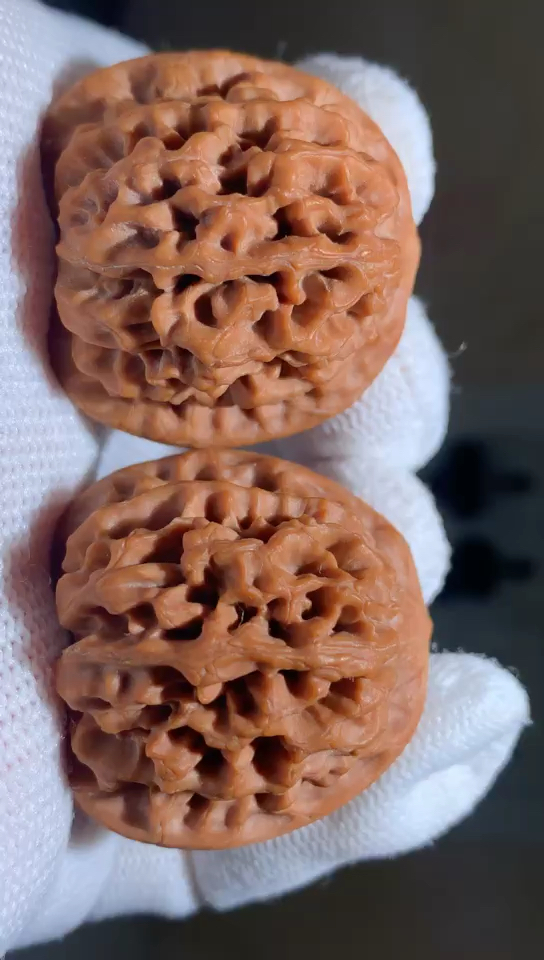 文玩核桃#如果用一种核桃代表西北核桃,那么一定是秦闷狮子头!