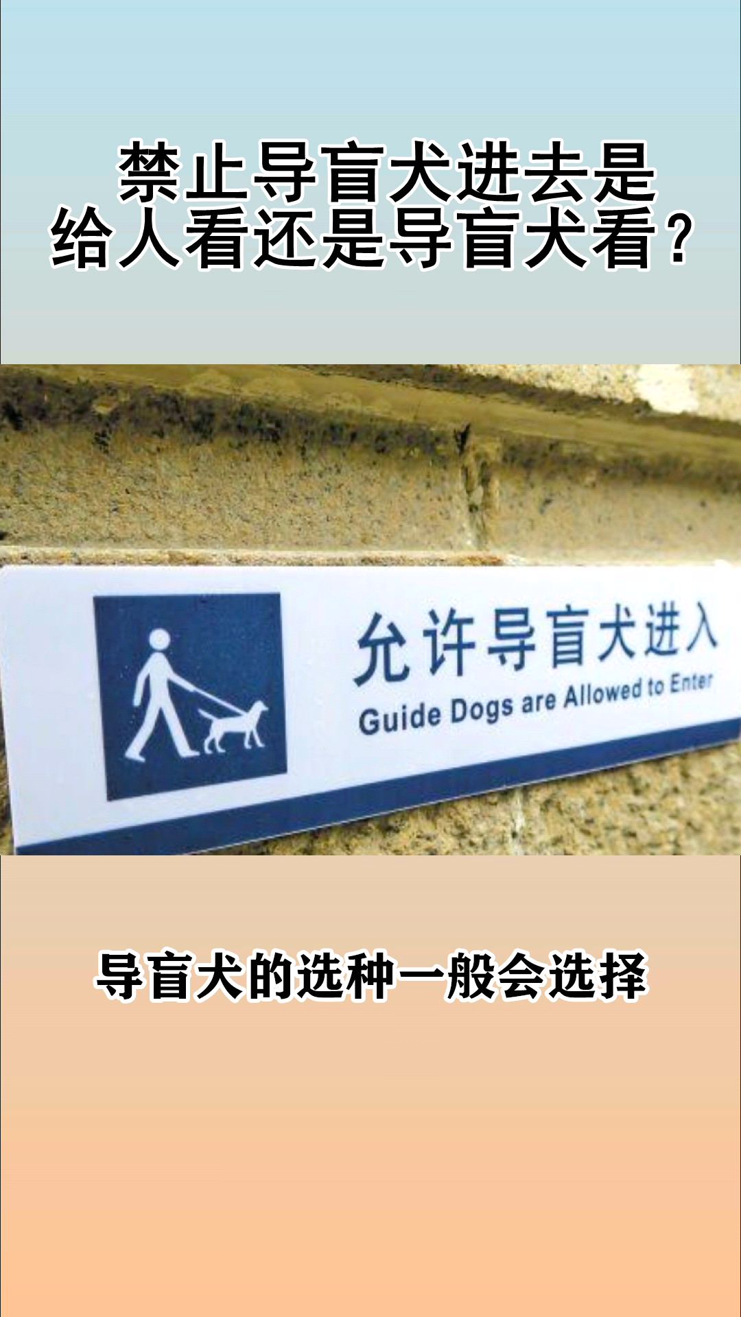 禁止导盲犬进去是给人看还是导盲犬看?