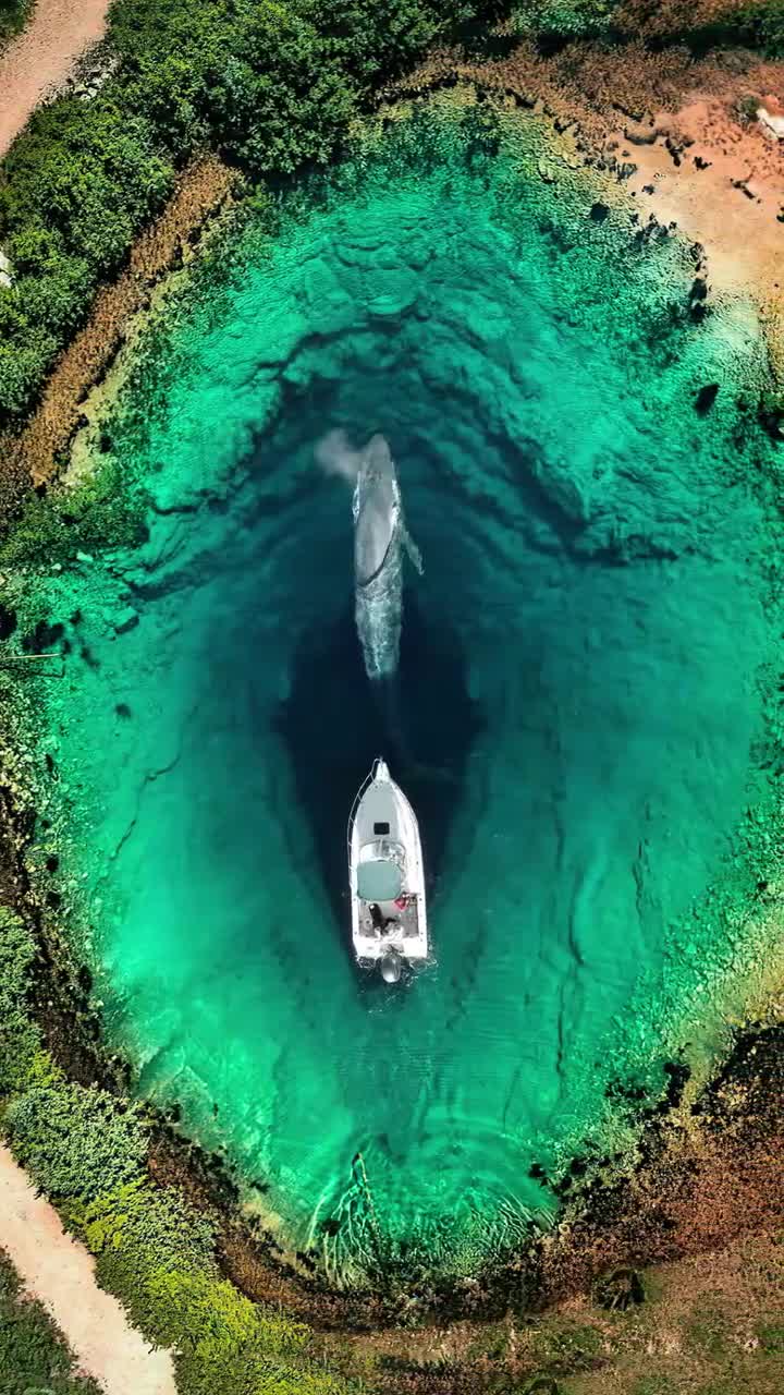 克罗地亚"地球之眼"也称"绿松石之眼"是一个深邃幽蓝的喀斯特泉.震撼!