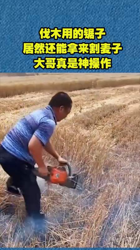 我搞笑你点赞#伐木用的锯子,居然还能拿来割麦子,大哥真的是神操装