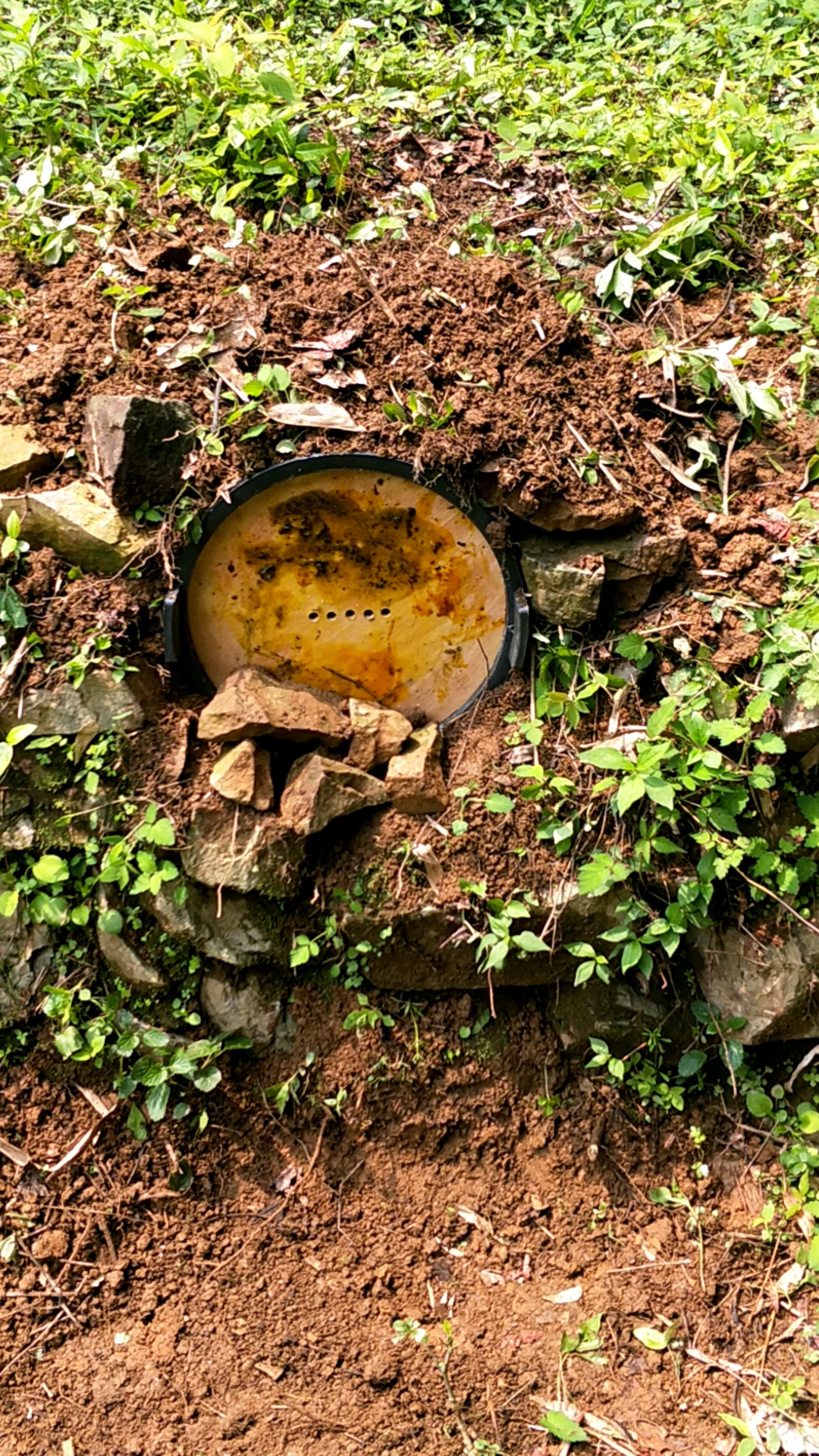 天气好赶紧把诱蜂桶放好