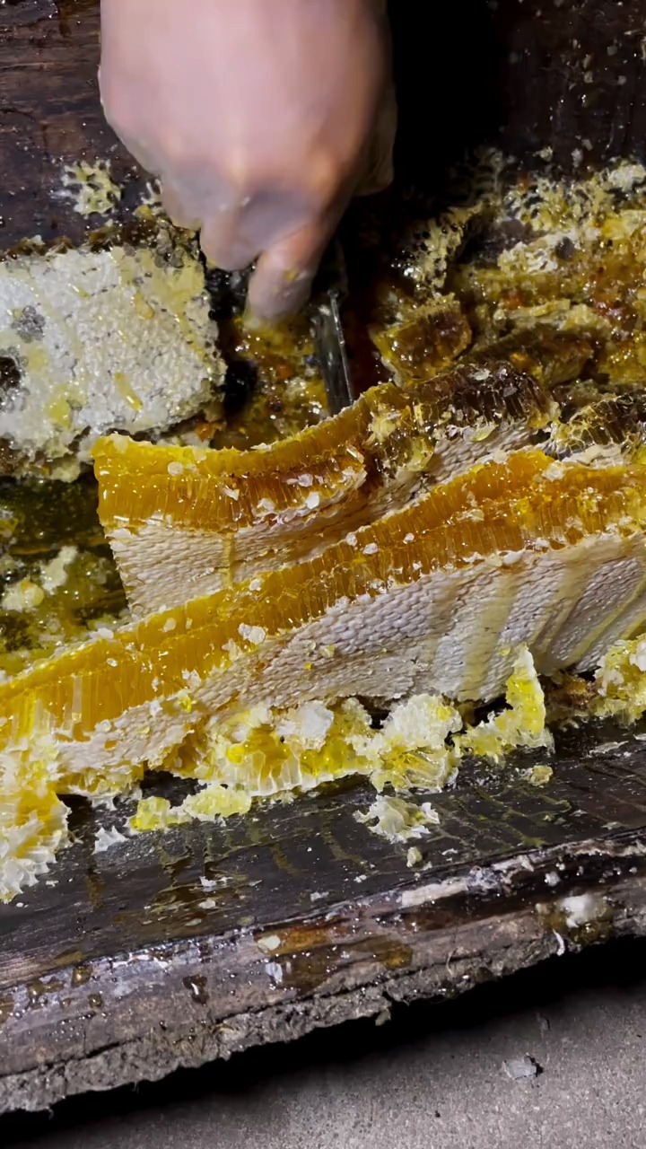 蜂蜜#秦岭野生土蜂巢蜜无人工巢础