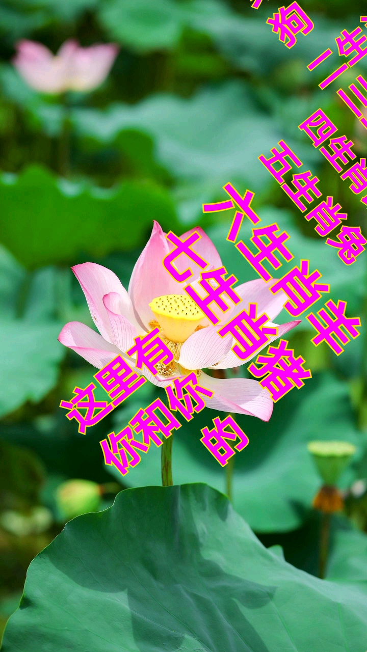 祝君好运,感谢支持