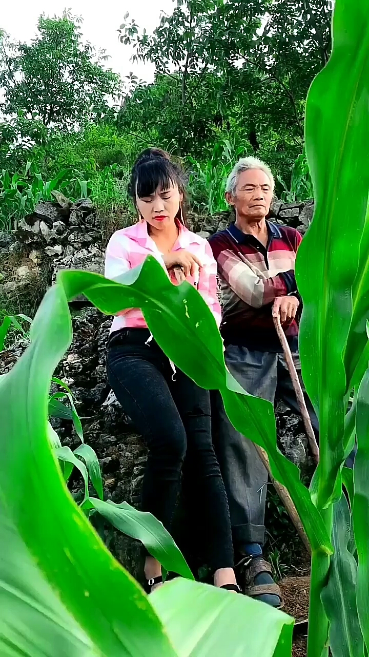 张馨月山歌