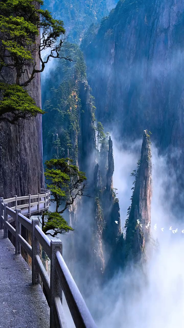 我要上热门#一不小心误入黄山仙境,养了眼,醉了心,甚是难忘,这才是