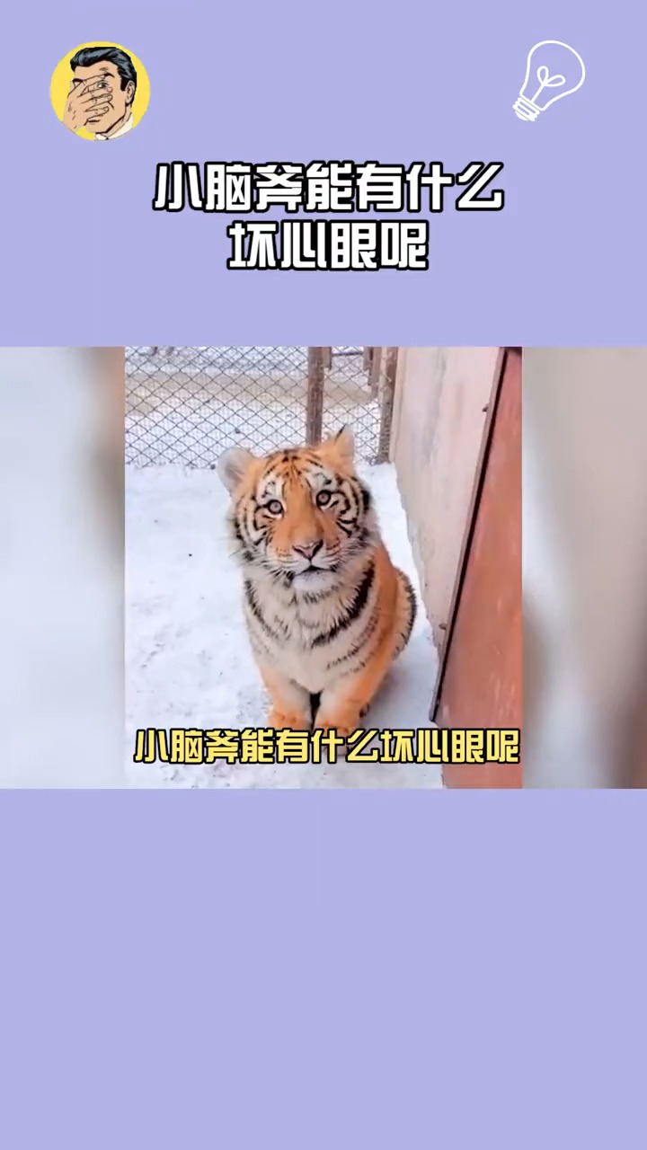 小脑斧:我能有什么坏心眼呢! 雪人我直接裂开!